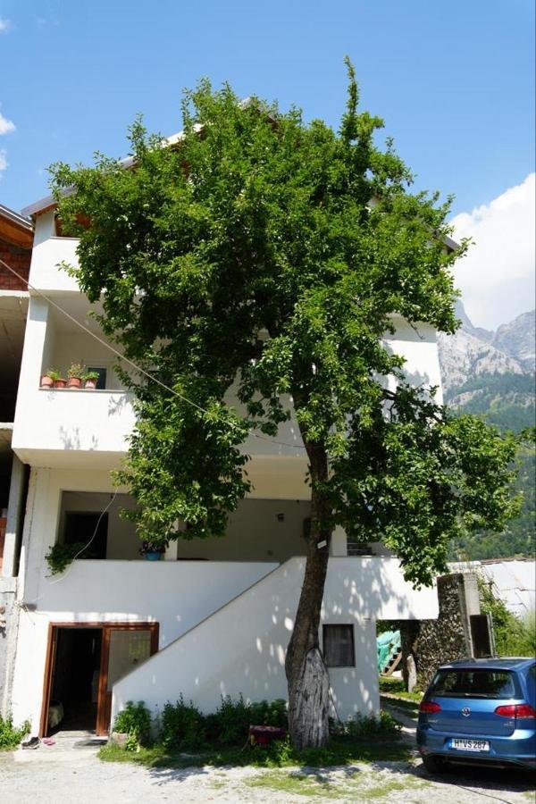 Guesthouse Skender Selimaj Valbone Exterior foto