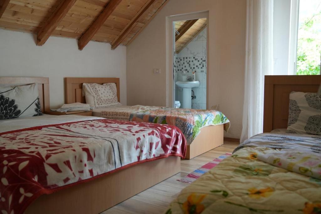 Guesthouse Skender Selimaj Valbone Exterior foto